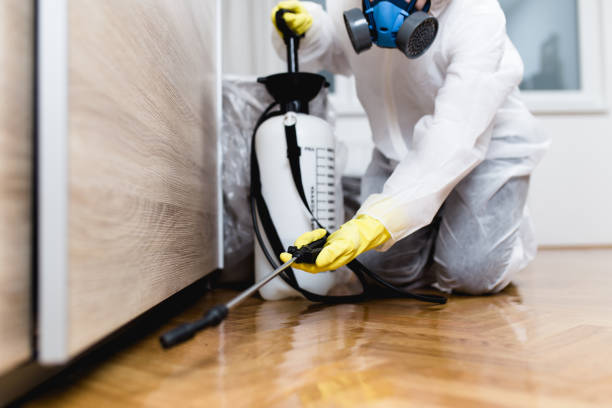 Best Insect Control  in Redway, CA