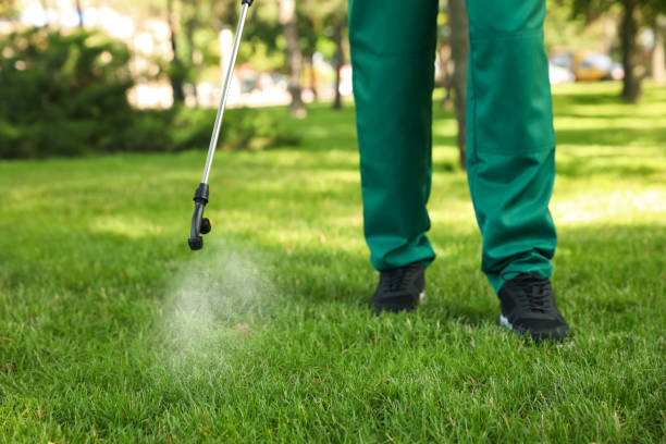 Best Termite Control Services  in Redway, CA