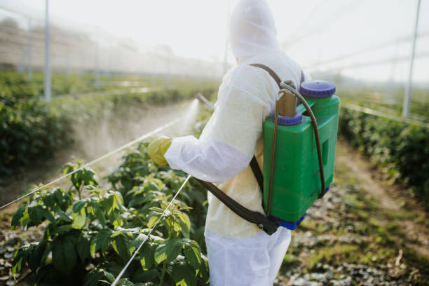 Best Bed Bug Extermination  in Redway, CA